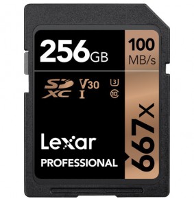 Atminties kortelė Lexar Pro SDXC 256GB 667x 100MB/s