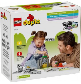 Konstruktorius - LEGO DUPLO...