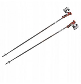 Sniego Lazdos - LEKI 3D...