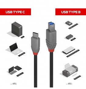USB Laidas - LINDY Anthra...
