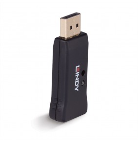 DisplayPort Adapteris -...