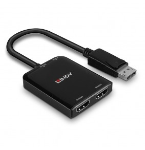 Adapteris - LINDY...