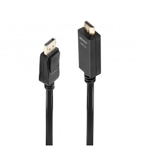 Adapteris - LINDY Display...