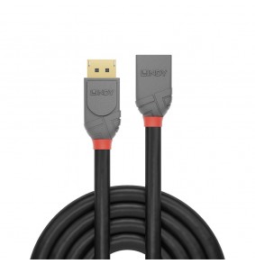 DisplayPort Kabelis - LINDY...