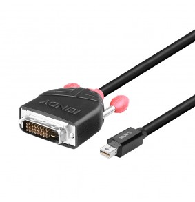 DisplayPort Adapteris -...