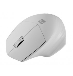 Kompiuterio Pelė -  Natec...